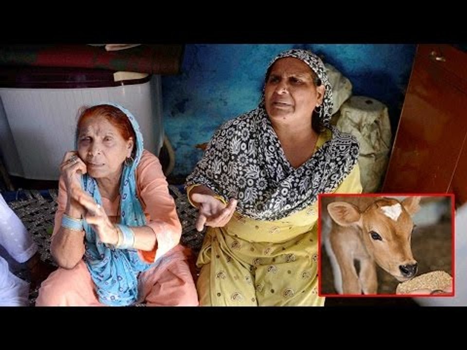 Dadri killing : Beef word not mentioned in UP govt report to Centre