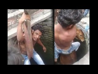 Скачать видео: Muslim Man saves cow skipping Namaz, video goes viral