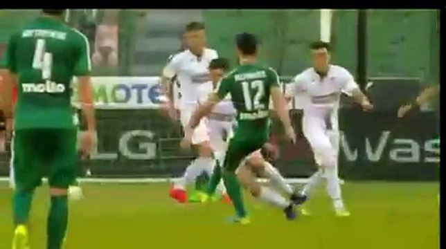 Leto Goal - Panathinaikos vs AEL Larissa 1-0 30.04.2017 (HD)