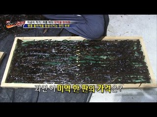 명품 돌미역을 탄생시키는 부부! 한 판에 8만원! [뉴 코리아 헌터] 12회 20160824