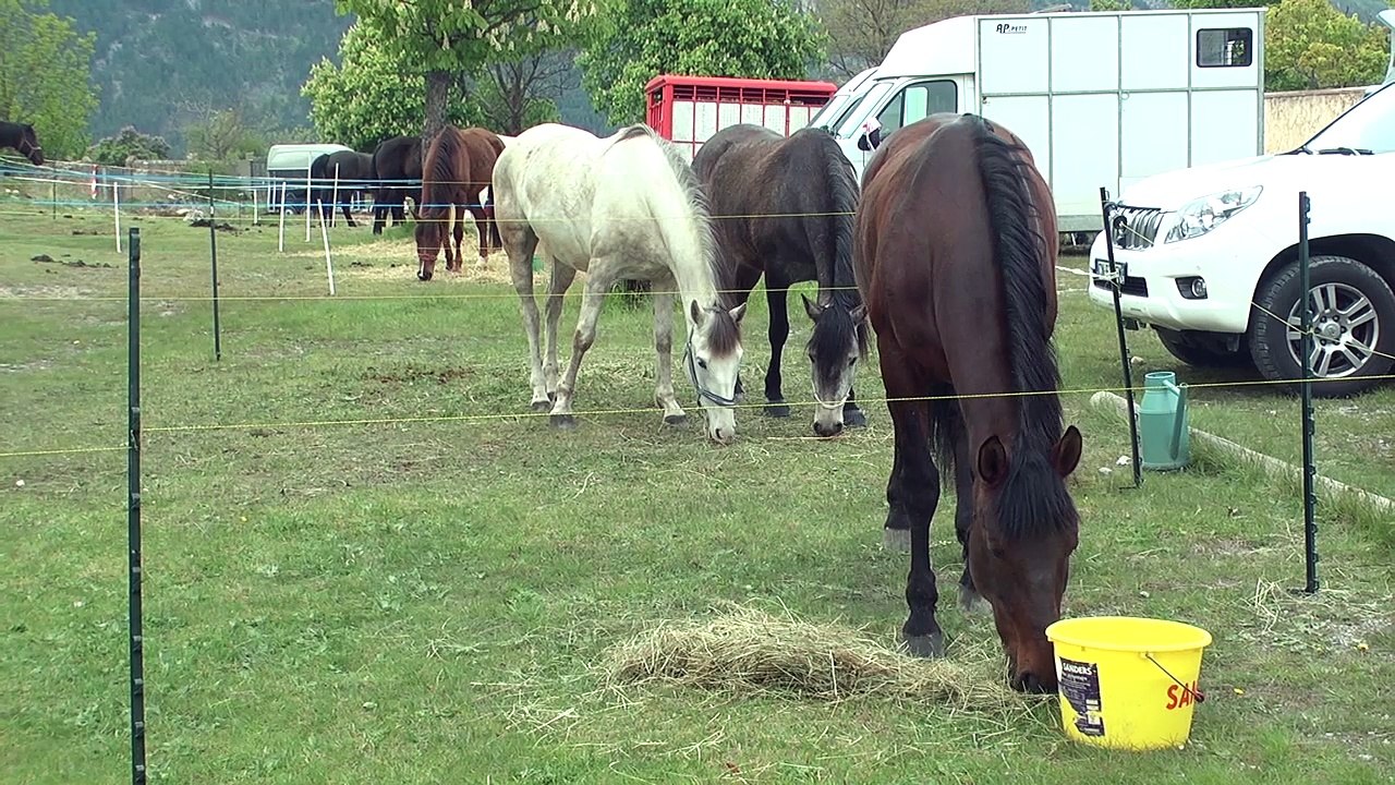 Hautes-Alpes : 2 ème édition du TREC de Mont-Dauphin