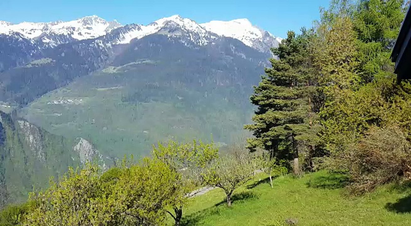 Navette ce matin