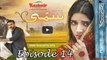 Sammi Episode 14 HUM TV 30 April 2017