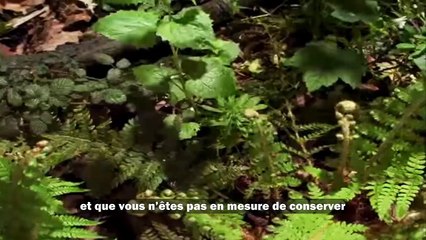 magnifique-recitation-du-coran-a-pleurer-demotion