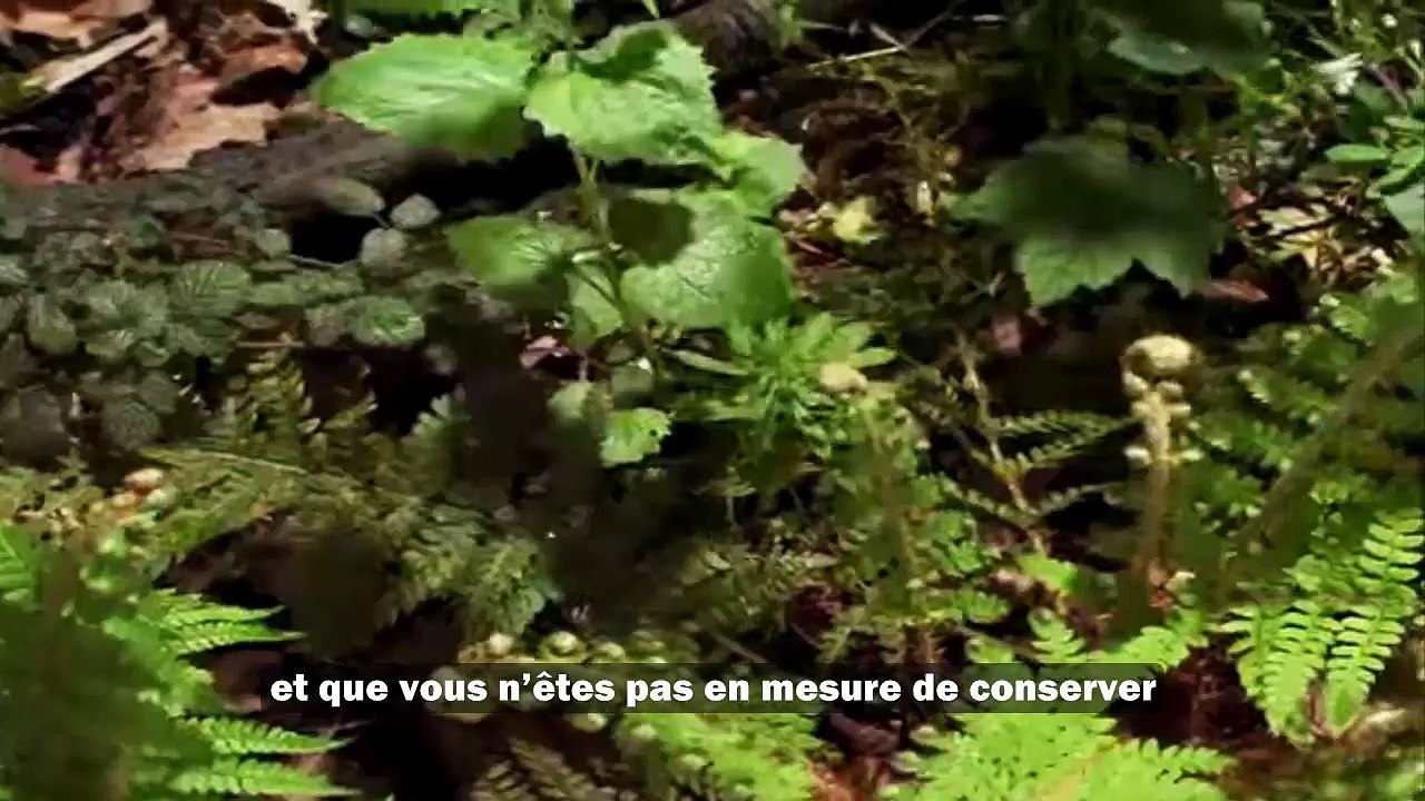 magnifique-recitation-du-coran-a-pleurer-demotion