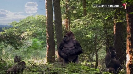 [tvN] 시카고 타자기 역주행 스페셜.E01.170428.1080p - 2of2