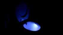 This night light goes inside your toilet bowl because why not