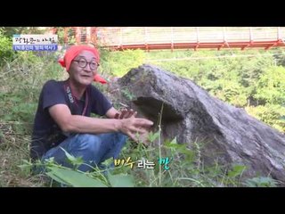 과거 전쟁터였던 파로호, 이제는 산책길로! [광화문의 아침] 302회 20160824