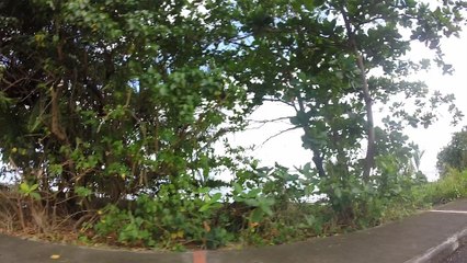 Rôle de la location de voiture pour vos deplacements en Guadeloupe