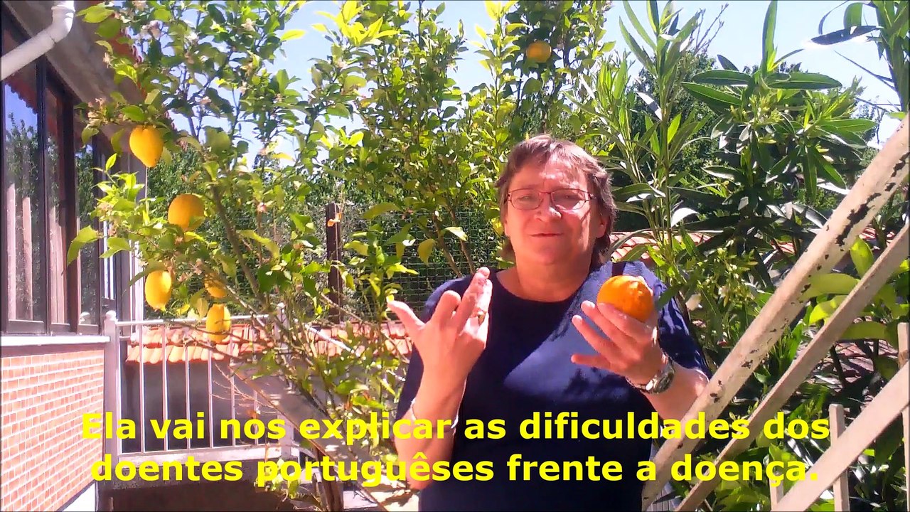 Le Ptit Verneuil futé au Portugal