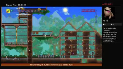 Terraria legens (12)