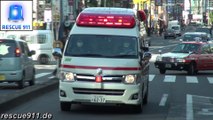 Ambulance Tokyo Fire Department (collection)