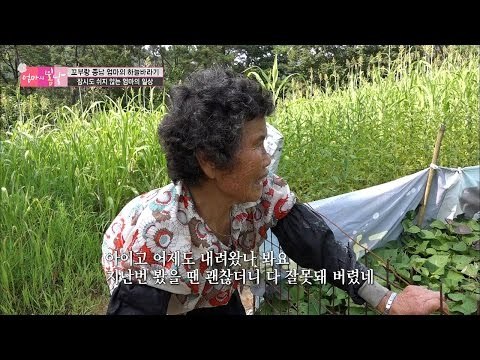 허리가 아픈 엄마의 소소한 일상 [엄마의 봄날] 55회 20160819