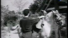 Δεν έχει τίτλο