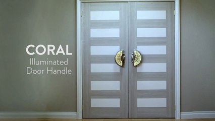 Illuminated Door Handle in Bronze
