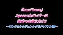 【haru＊hana】 Apeace未公開動画 「僕の秘密教えます」vol.2 ワンチョル&ジュンシク&ドゥファン編