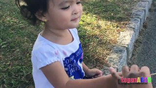 Toddler learning ABC Alphabets on a White Flags _ Fun outdoors park-n