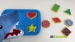 PET SHARK Eats Cookies Learn Shapes with Baking Cookies Toy Playset for Kids ABC Surprises-Ez