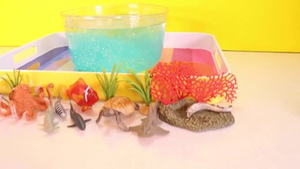 Download Video: DIY SHARK Toys Slime Aquarium Fish Tank - Toy Sharks, Sea Animals, Toys and Slime _ Craft Videos-FGWk