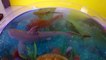 DIY SHARK Toys Slime Aquarium Fish Tank - Toy Sharks, Sea Animals, Toys and Slime _ Craft Videos-FGWk-0r