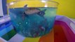 DIY SHARK Toys Slime Aquarium Fish Tank - Toy Sharks, Sea Animals, Toys and Slime _ Craft Videos-FGWk