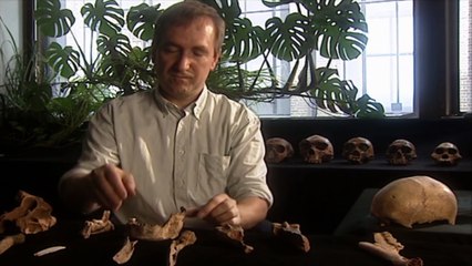 Cannibal Bones Of Contention (Full Documentary)