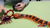 Innovation Scorpion and Giant Scolopendra Creepy Crawlers Toys-fJ4XcC
