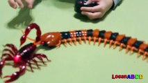 Innovation Scorpion and Giant Scolopendra Creepy Crawlers Toys-fJ4X