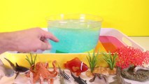 DIY SHARK Toys Slime Aquarium Fish Tank - Toy Sharks, Sea Animals, Toys and Slime _ Craft Videos-FGWk-0rOW