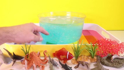 Descargar video: DIY SHARK Toys Slime Aquarium Fish Tank - Toy Sharks, Sea Animals, Toys and Slime _ Craft Videos-FGWk-0rOW