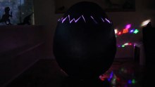 'Dinosaur Disco' In Real Life with GIANT DINOSAUR EGG   Dancing Dinosaurs _ Kids Videos-zw-qmPQ