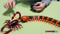 Innovation Scorpion and Giant Scolopendra Creepy Crawlers Toys-fJ4Xc