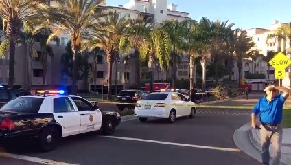 Скачать видео: USA: Au moins huit blessés cette nuit à San Diego lorsqu'un homme a ouvert le feu autour d'une piscine