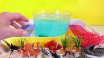 DIY SHARK Toys Slime Aquarium Fish Tank - Toy Sharks, Sea Animals, Toys and Slime _ Craft Videos-F