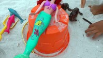 A LOBSTER is Hurt! Will it be better Barbie & Ariel & Raquelle help - Beach Sand Ocean Play & Fun-FFNxyg2dI