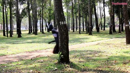IRON MAN vs VENOM Picnic Trolling Prank in Real Life - Funny Superhero Movie-eP