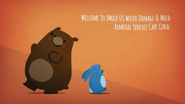 iMold US Water Damage & Mold Testing Service Cape Coral, FL