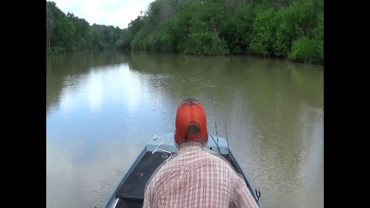 Sunflower River Catfish