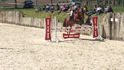 Sexy Boy de Belgy - CSO Fessenheim Prépa 105cm - 30.04.2017