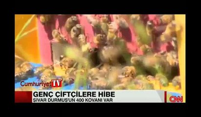 Arıcı maliyet hesabını açıklarken ağzından öyle bir şey kaçırdı ki...