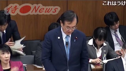山尾しおり 民進党コレで完全アウト【国会中継 神回】プリカ秘書 実名暴露！維新 足立康史フルボッコ論破祭り「山尾志桜里はズバリ犯罪者！」2017年2月21日-侍News