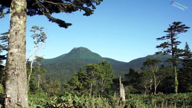 Кунашир- прекрасный остров