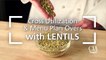 Cross Utilization and Menu Plan Overs with Lentils - Lentil and Bulgur Pilaf-0PQf