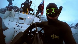 GoPro Awards - Freediving with Wild Orcas-YdDwKB