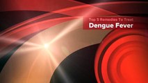 Top 5 Remedies To Treat Dengue Fever-jsy9