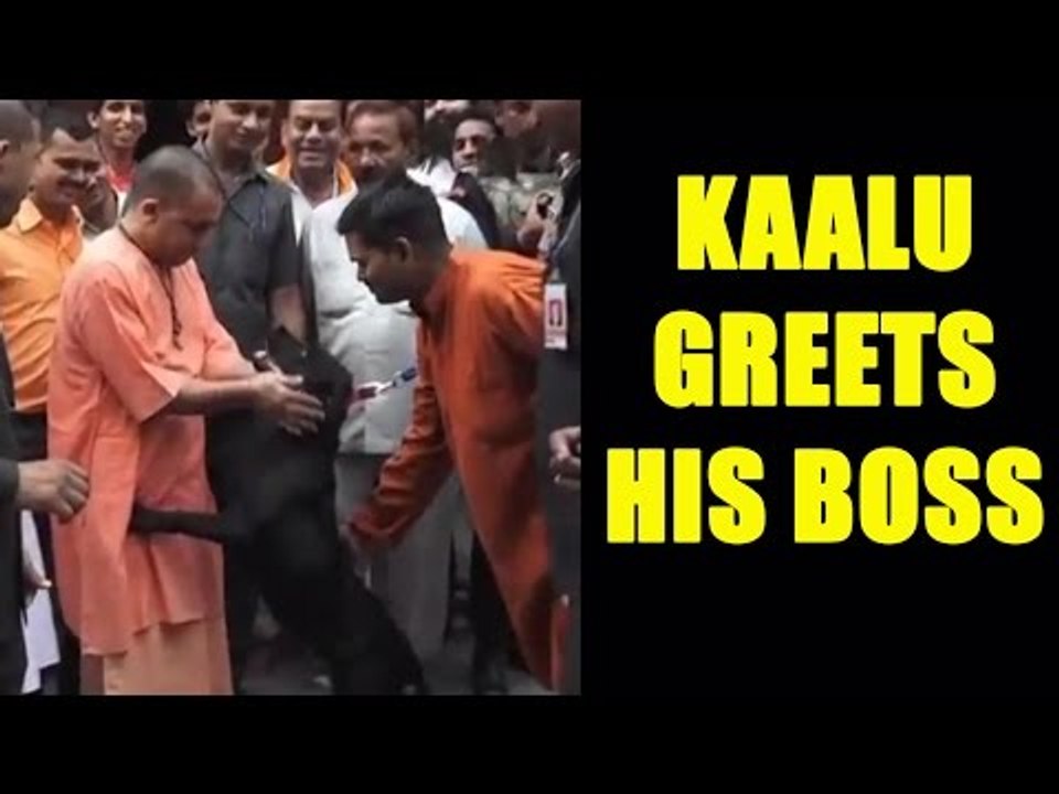Yogi Adityanath greeted by special family member | Oneindia News