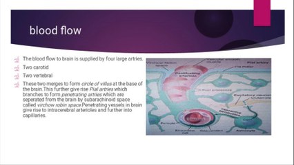 cerebral blood flow and brain metabolism