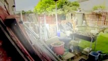 Obsessive Compulsive Cleaners S05E06