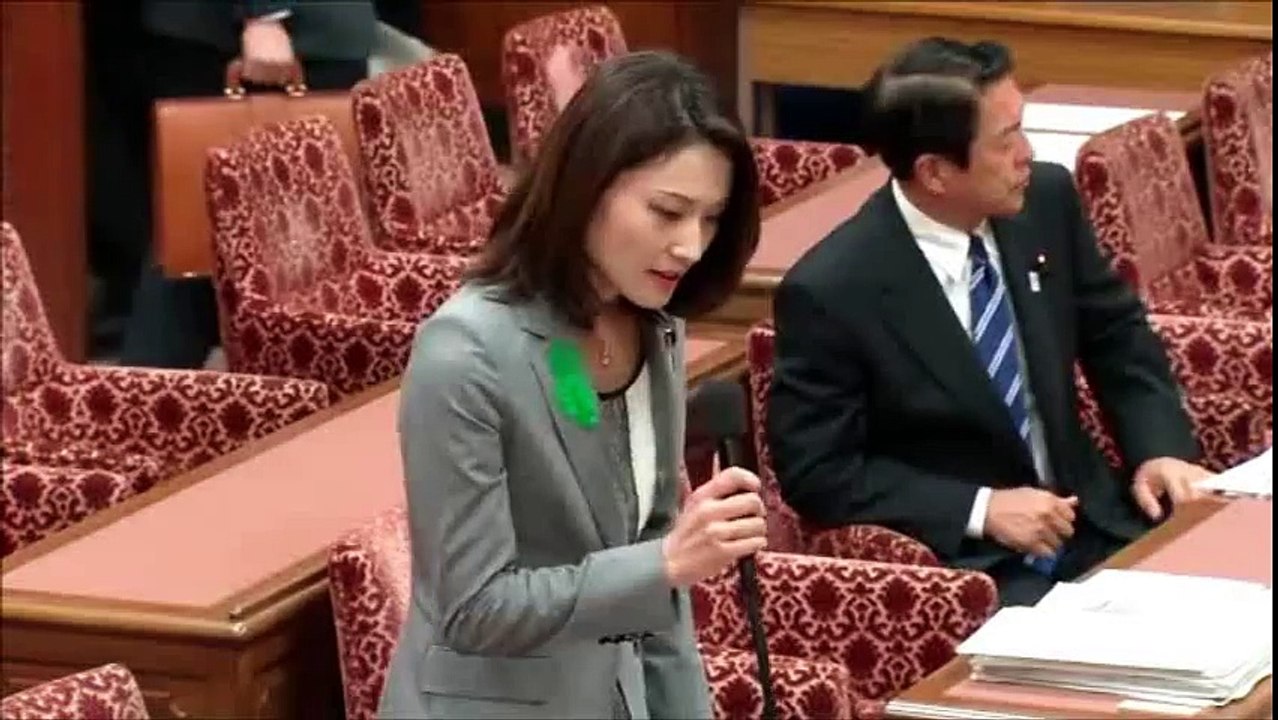【金子めぐみ】美人すぎる国会議員　初々しい国会初質問　その１