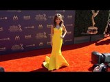 Susan Lucci 2017 Daytime Emmy Awards Red Carpet